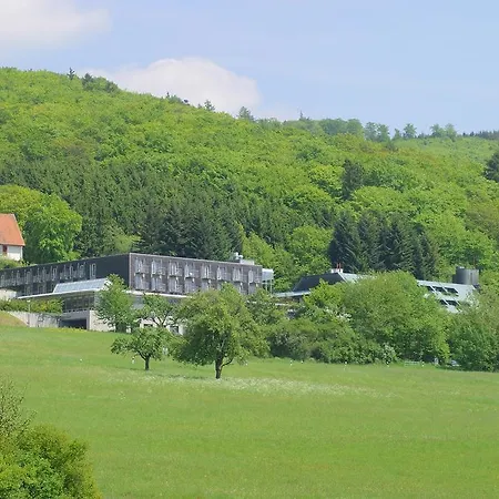 Collegium 4*